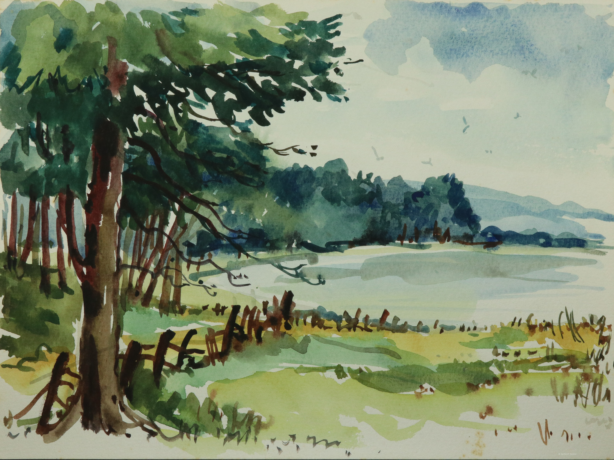 Waldrand Sommer